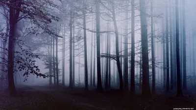 Black Wallpaper Landscape Backgrounds