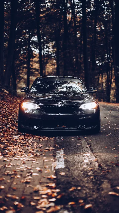 Car on a Forest Road in Autumn HD Phone Wallpaper