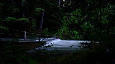 River, Cascade, Trees, Dark, Background, Stream, Forest, Nature 4K HD Nature Wallpapers
