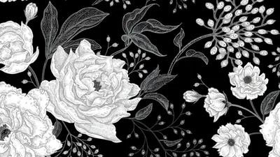 White Roses on Black Toile Pattern HD Wallpaper