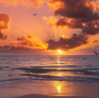Sun Rays Breaking Through Clouds at Sea HD Wallpaper