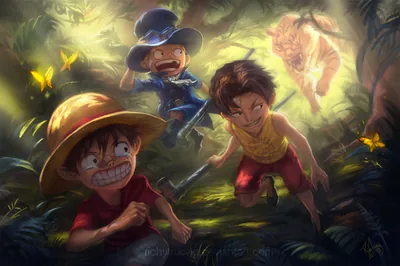 One Piece Adventure HD Wallpaper Truong