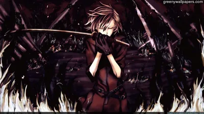 Anime Swordsman Among Black Feathers HD Wallpaper