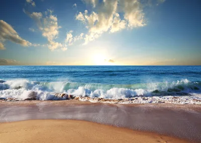 Beach Backgrounds
