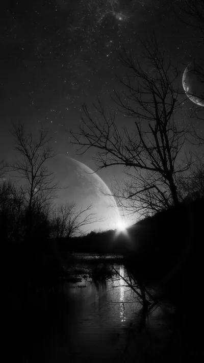 Crescent Moon Over Bare Trees HD Phone Wallpaper