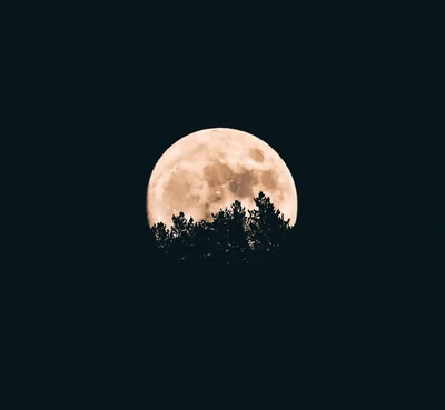 Black Moon HD Wallpapers Black Moon HD Backgrounds
