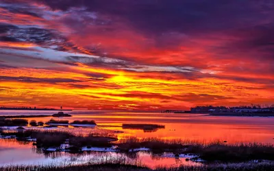Fiery Sky Over a Flooded Marsh HD Wallpaper