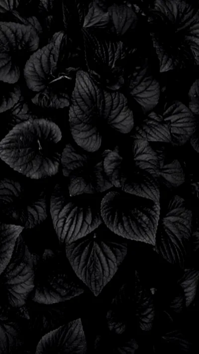 Amoled Darkest Black Wallpapers