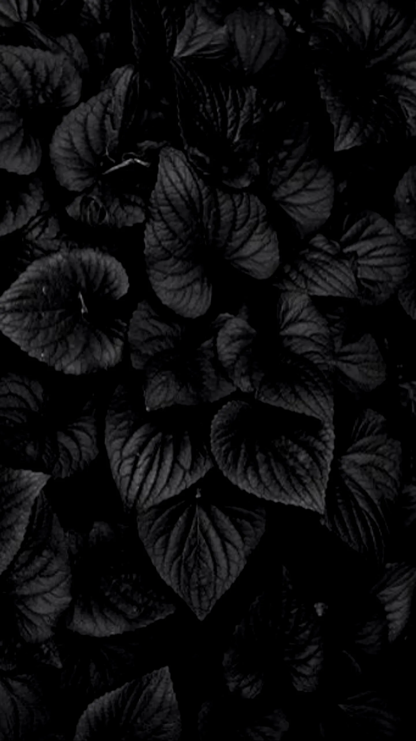 Android 4k Black Wallpapers