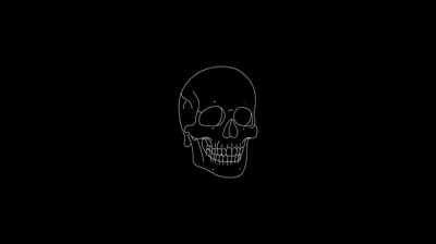 Thin Outline Skull on Pure Black HD Wallpaper