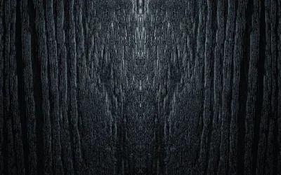 Dark Woods Wallpapers