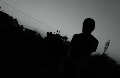 Grainy Silhouette at Dusk HD Wallpaper