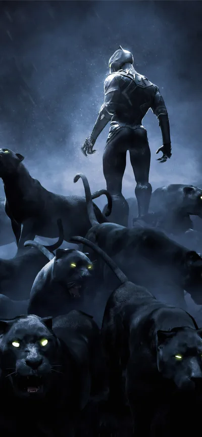 Black Panther Standing Over a Panther Pack HD Phone Wallpaper