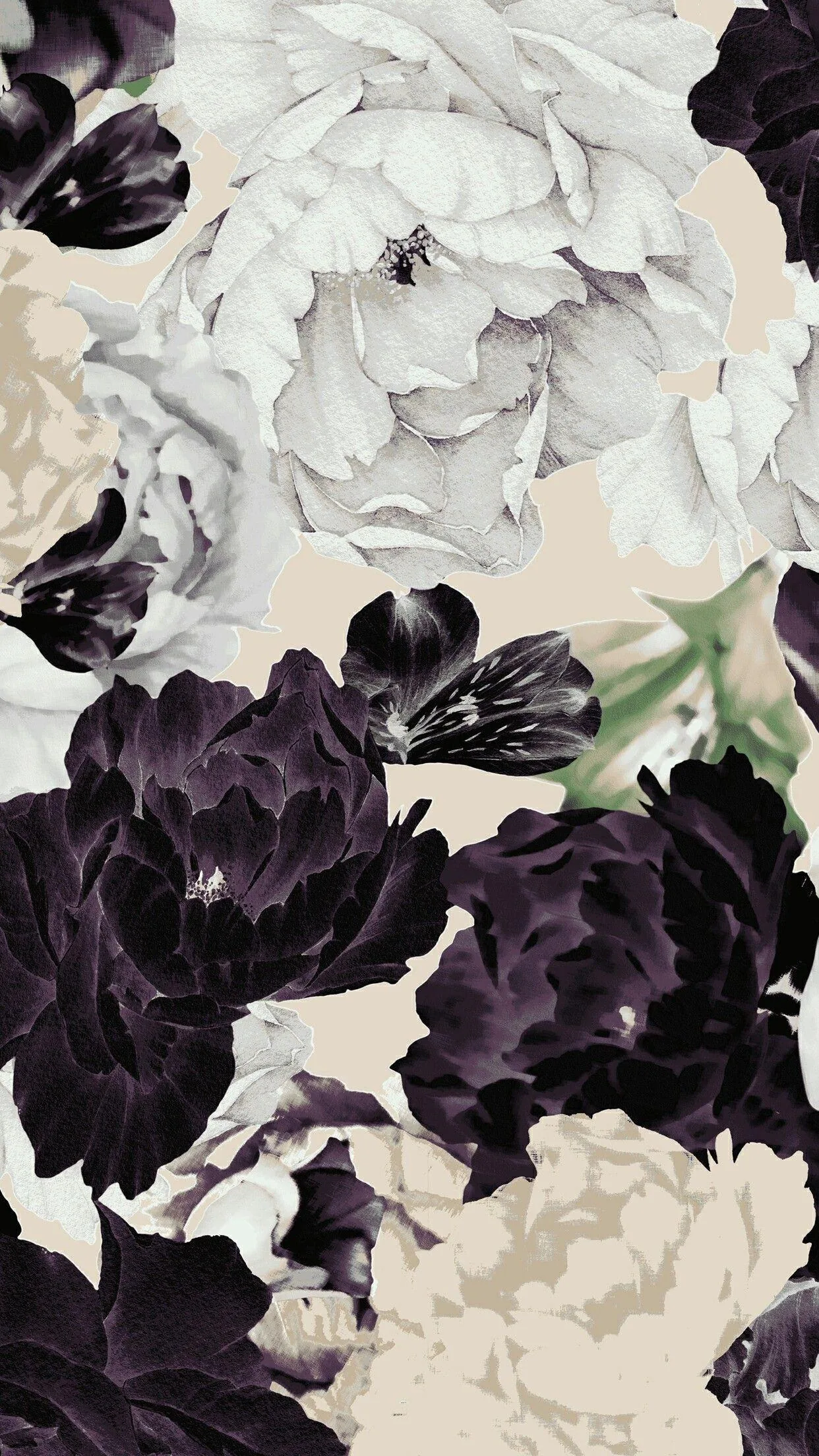 Black Flowers iPhone Wallpapers Black Flowers iPhone