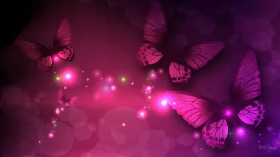 Black Wallpaper With Butterflies Wallpaper HD