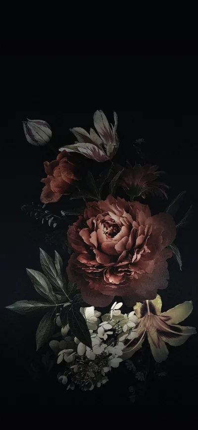 Dark Flowers Wallpapers 4k, HD Backgrounds