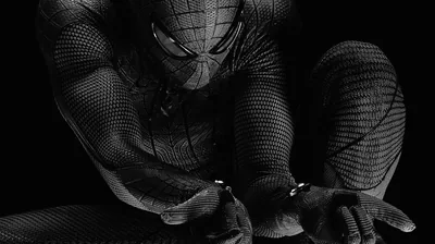 Spider-Man Crouching in Monochrome HD Wallpaper