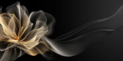 Desktop Wallpaper Elegant Pictures