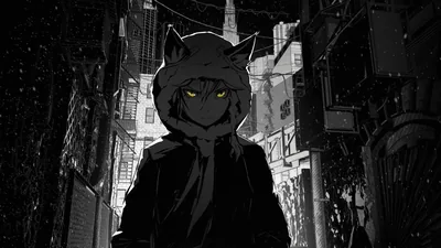 Cat-Eared Hooded Figure in a Rainy Alley HD Wallpaper