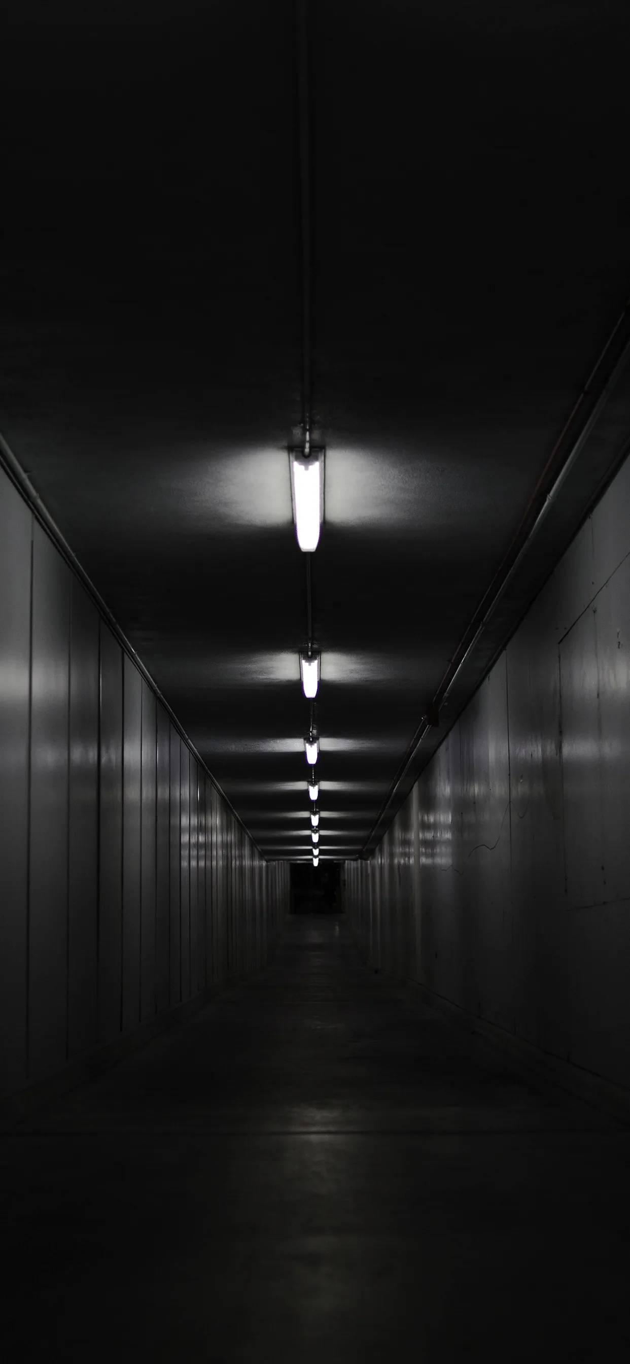 Fluorescent tubes recede down the ceiling of a long empty corridor, each one dimmer than the last until the far end is lost in shadow.