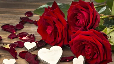 Love Flowers Pictures