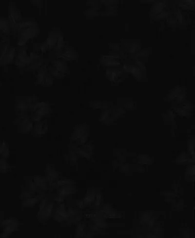 Plain black background aesthetic