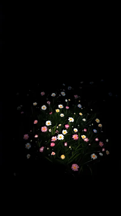 Wildflowers Lit in the Dark HD Phone Wallpaper