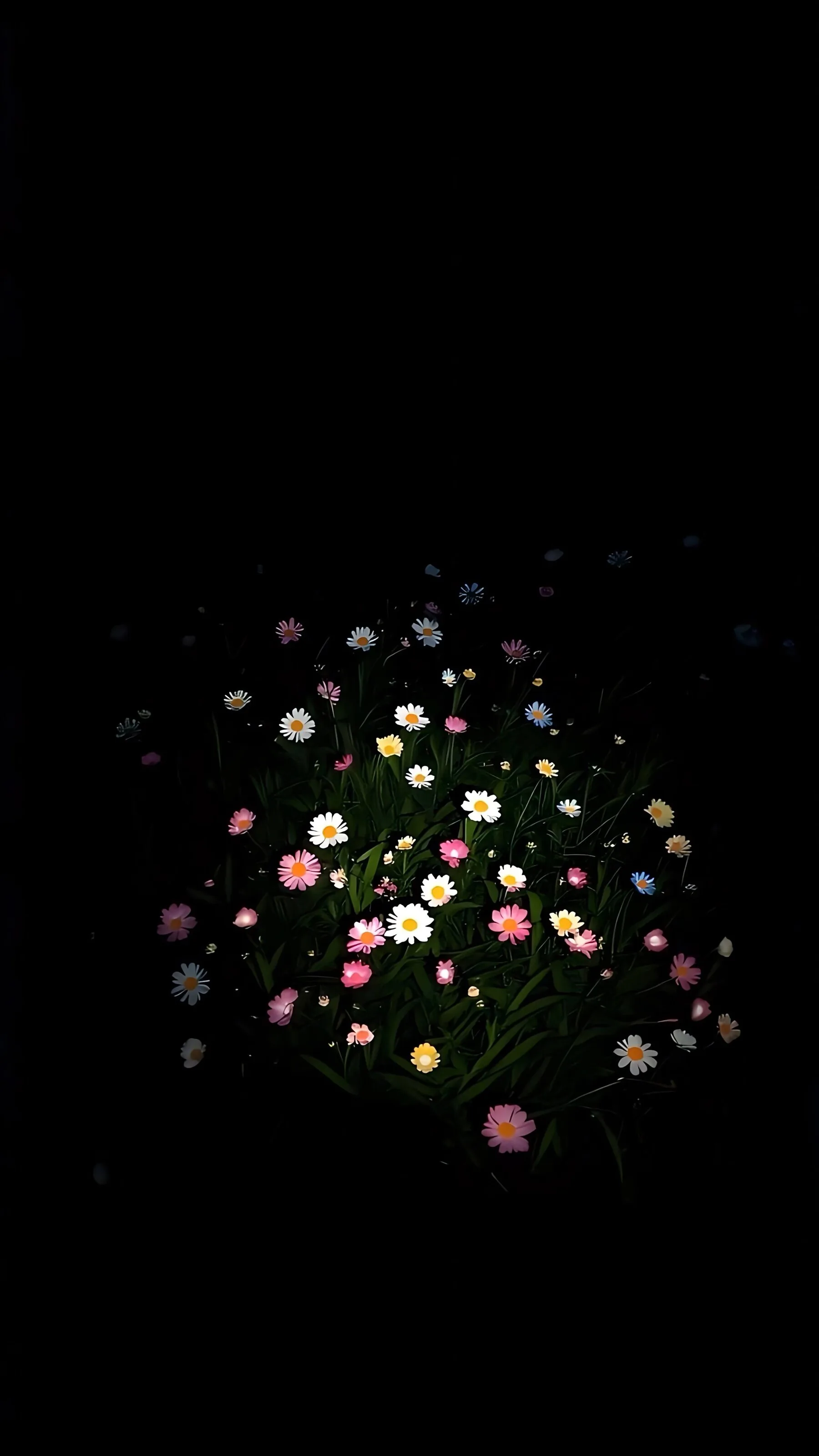 A small cluster of pink and white wildflowers is caught in a pool of light, surrounded on all sides by black.