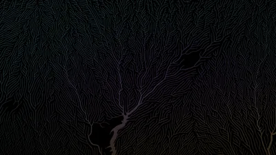 Dark Minimal Tree 5k 1440P Resolution, HD 4k Wallpapers, Images, Backgrounds