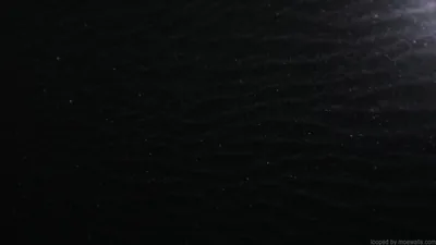 Black Colour Wallpaper Hd Live