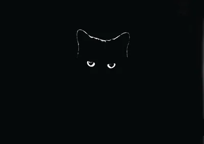Outlined Cat Face in Total Black HD Wallpaper