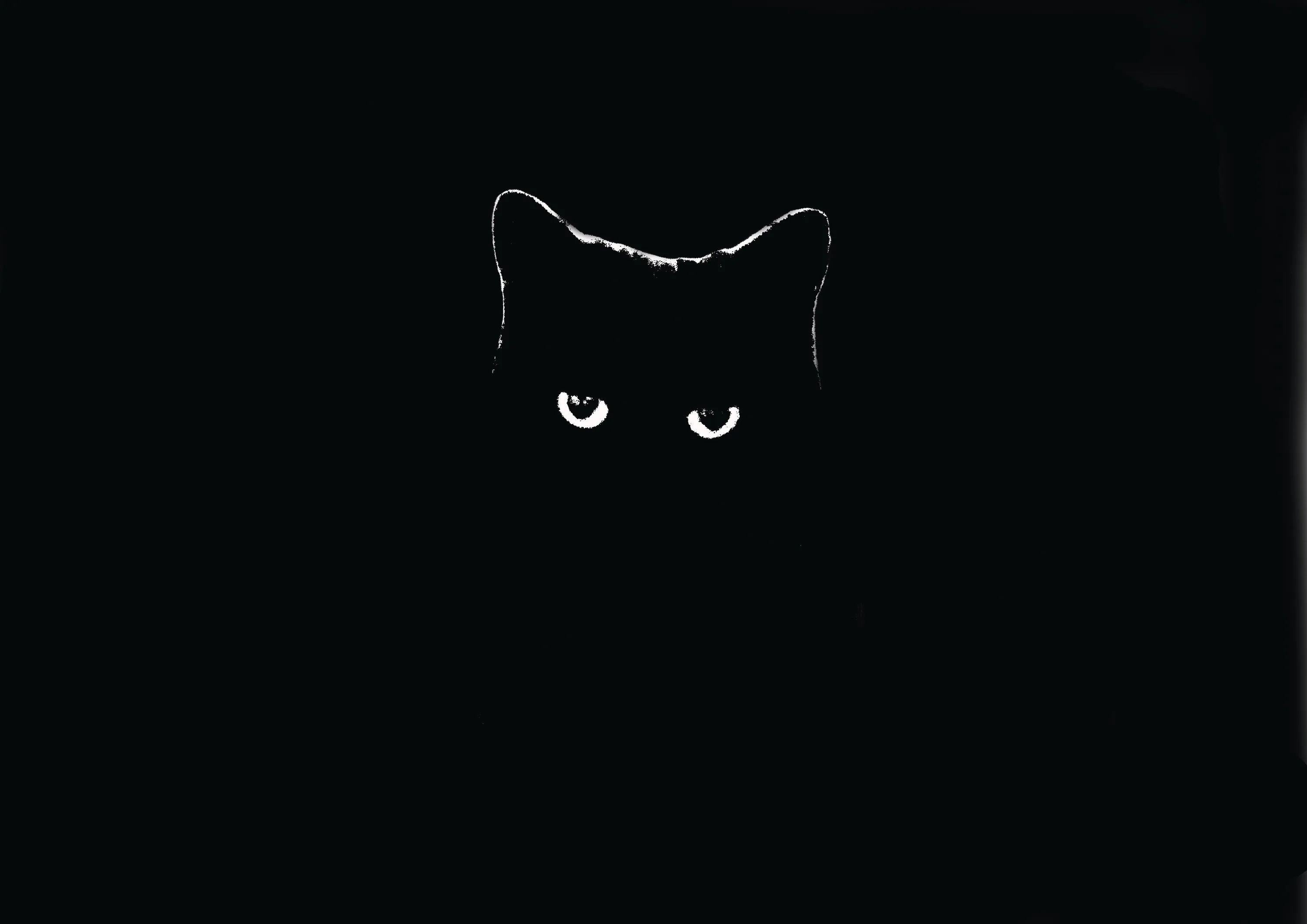 A thin white line traces the ears and brow of a cat, two narrow eyes glowing beneath it, the rest of the frame left completely black.