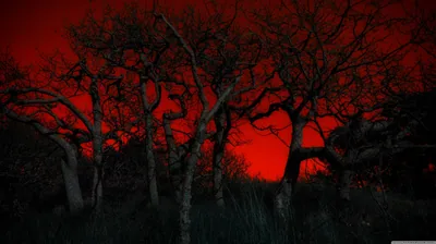 Wallpapers Red 4k
