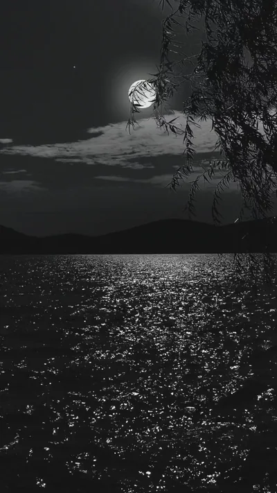 Moving Wallpapers Live Aesthetic Dark