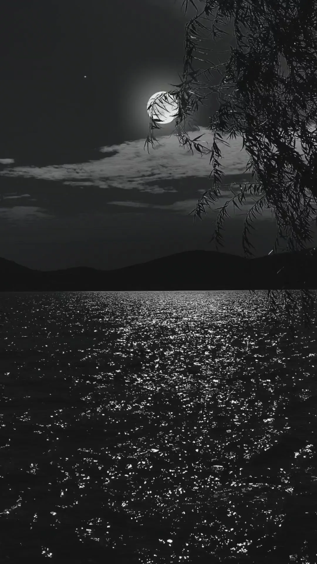 Moving Wallpapers Live Aesthetic Dark
