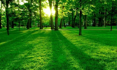 Beautiful Wallpaper Hd Green Background Jeckie Image Bookmark