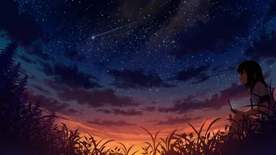 Shooting Star Over a Twilight Meadow HD Wallpaper