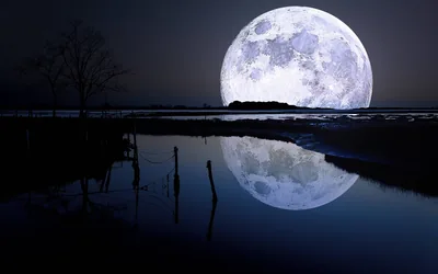 Supermoon Rising over a Flooded Marsh HD Wallpaper
