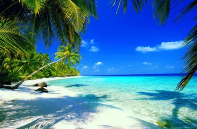 Beach Wallpaper HD