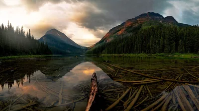 Landscape View Of Mountains Under White Black Clouds Sky Reflection On Water Wood Logs