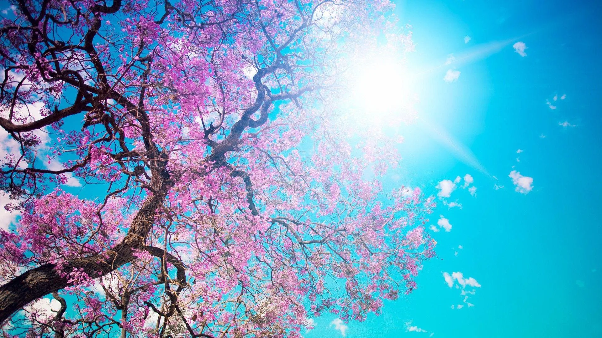 Girly Wallpapers Girly Backgrounds