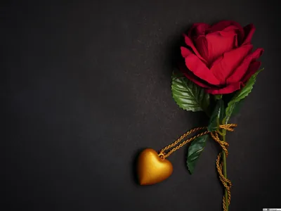 Red Rose and Gold Heart Pendant HD Wallpaper