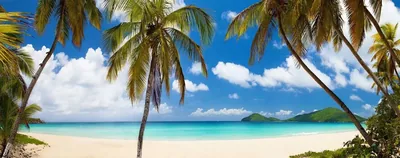Beautiful Beach Wallpaper
