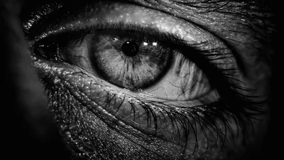 Human Eye Close-Up in Monochrome HD Wallpaper