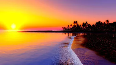Neon Yellow and Pink Tropical Sunset HD Wallpaper