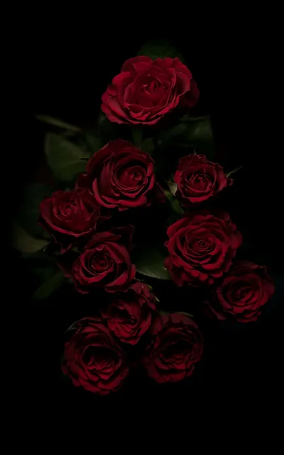 Red And Black Aesthetic Roses Wallpapers
