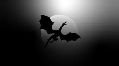 Dragon in the Dark Night Wallpaper, HD Fantasy 4K Wallpapers, Images and Background