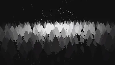 Black and white forest
