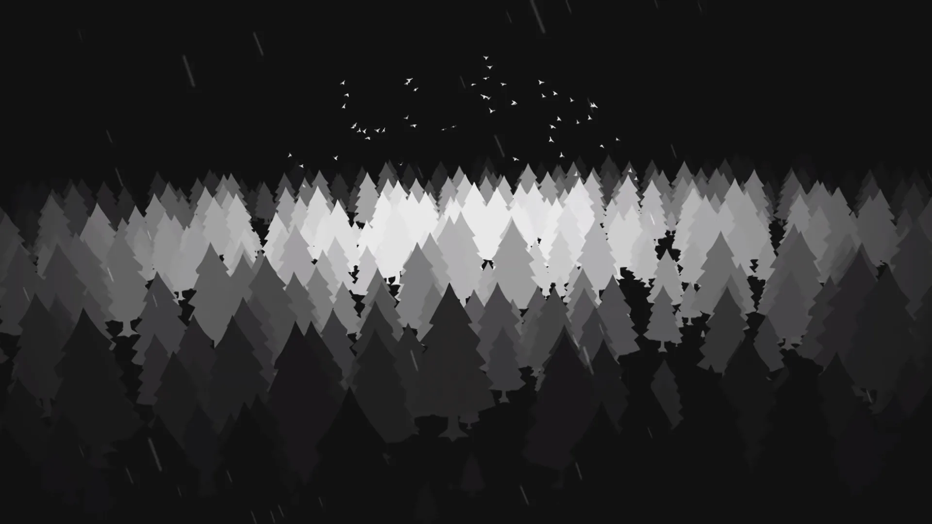 Black and white forest
