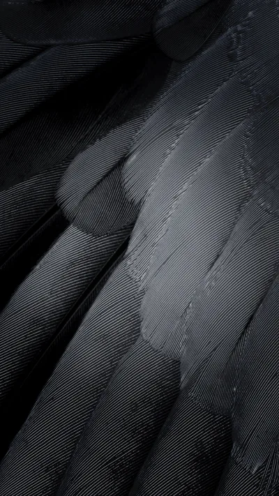 Black and white wallpapers for macOS and iOS